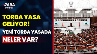 TORBA YASA geliyor Torba Yasada Hangi Ayrıntılar Yer Alıyor Faruk Erdem Açıkladı ParaGundem [upl. by Ardnaxela]