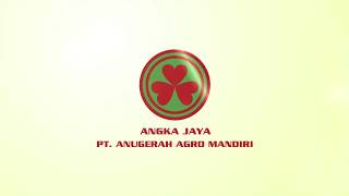 COMPANY PROFILE PT ANUGERAH AGRO MANDIRI  ANGKA JAYA [upl. by Cleopatre]