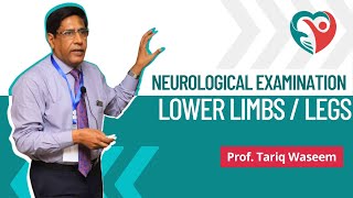 Lower Limbs  Neurological Examination by ProfTariqWaseem medical nerves doctor education [upl. by Rosenkrantz]