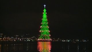 Rekordweihnachtsbaum in Rio [upl. by Annah370]