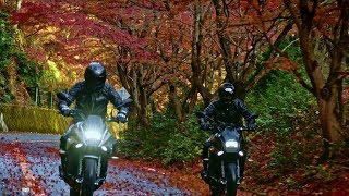 SUZUKI KATANA Riding Impression  Suzuki Motorrad [upl. by Ahcsap]