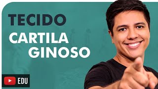 TECIDO CARTILAGINOSO  HISTOLOGIA HUMANA  Prof Kennedy Ramos [upl. by Terra]