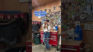 Us Horse owners are so grateful to the farriers of the world horses farrier horsecare comedy [upl. by Ekram]