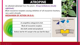 Anticholinergic drugs [upl. by Lila]