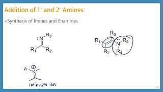 CHEM 2342 Chapter 16 Part 7 [upl. by Marcelle]