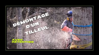 Élagage  Démontage dun Tilleul avec rétention [upl. by Aleck]