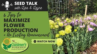 Seed Talk 84  6 Tips to Maximize Flower Production  An Exciting Announcement [upl. by Mella]