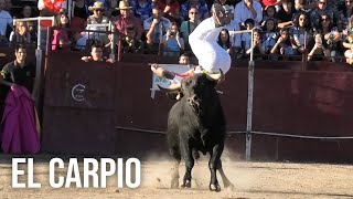 El Carpio 2024 Concurso con Toros Bravos [upl. by Sinnoda739]