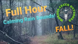 Once To Home Rain Sounds [upl. by Llerraf407]