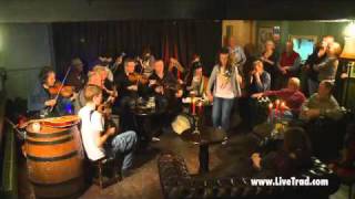 Dervish  Traditional Irish Music from LiveTradcom Clip 4 [upl. by Aihsal315]