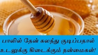 பாலில் தேன் கலந்து குடிப்பதால் உடலுக்கு கிடைக்கும் நன்மைகள்udal nalam  alagu kurippu  Tamil Info [upl. by Jeuz343]