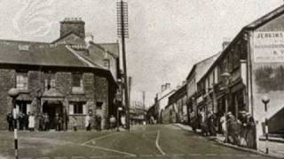 From The Meadow To The Ocean  Ton Pentre Junior School [upl. by Lowe]