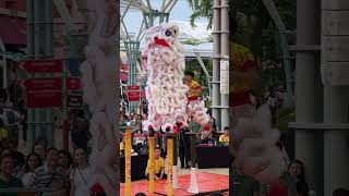 新加坡新城龍獅學院  Kweichow Moutai Cup Singapore Lion Dance Championship 2024 年 ‘贵州茅台杯’新加坡舞狮争霸赛 [upl. by Geanine]