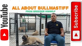 Bullmastiff breed from Bullmastiff breeder । oldest Bullmastiff kennel running in india । [upl. by Liddy]