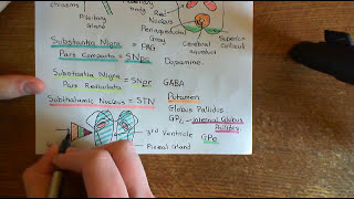 Parkinsons Disease and Antiparkinson Drugs Part 6 [upl. by Aneek]