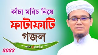 কাঁচা মরিচ নিয়ে ফাটাফাটি গজল Kacha Morich  Kalarab Ghazal  Kolorob Gojol  Ghazal  Islamic Song [upl. by Samuelson]