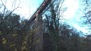 Larkhall Viaduct walk on 20241105 at 1250 on Calf Visinse [upl. by Ehctav550]