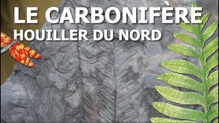 Le Carbonifère houiller du Nord et sa flore fossile [upl. by Christal]