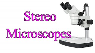 Stereo microscope I Stereo zoom microscope I Dissecting microscope I Stereo Vs light microscope [upl. by Eleda914]