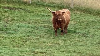 Day 6 John O’Groats to Lands End JOGLE 8th September 2024 [upl. by Ardath]