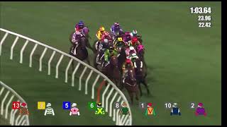 HK Horse Racing at Shatin  Race 10  09112024 prestonepie4395 [upl. by Delcine922]