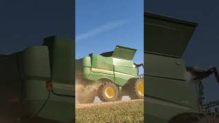 A Very Close Up Shot of a Combine in Action harvest harvesting harvestingvideos [upl. by Eerual631]