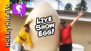 Giant LiVE SHOW Egg  Surprise Toys with HobbyKidsTV [upl. by Ettenirt]