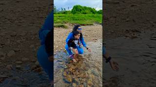 valparai diaries  kulangal river trendingshorts travel [upl. by Aihgn604]