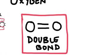 Double and Triple Covalent Bonds [upl. by Solakcin961]