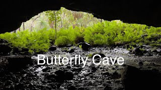 Butterfly Cave  Kununurra [upl. by Nalyk]