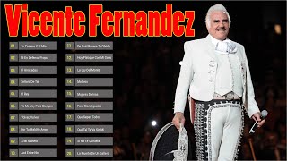 VICENTE FERNANDEZ MEJORES CANCIONES  VICENTE FERNANDEZ 40 GRANDES ÉXITOS MIX [upl. by Namajneb]