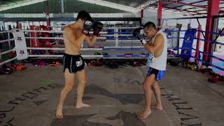 Two Basic Muay Thai Stances Explained  Muay Thai Fundamentals [upl. by Forrester369]