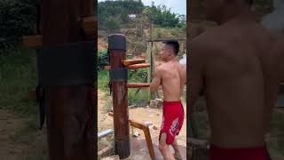 Wing Chun wooden dummy [upl. by Peednam]