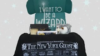 Wizarding World Loot Crate Unboxing November 2016 [upl. by Wildee614]