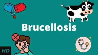 Brucellosis Causes Signs and Symptoms Diagnosis and Treatment [upl. by Odidnac316]