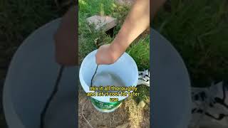 Weed control using salt weedcontrol weeding gardening plants plantcare agriculture agricultue [upl. by Weinman]