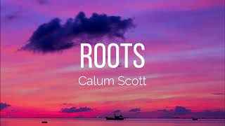 Calum Scott  Roots Lyrics [upl. by Nilerual340]