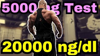 The Road to 20000 ngdl and 5g of Testosterone  Next Cycle Outline [upl. by Ojybbob]