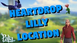 Heartdrop Lilly Location in Palia  Palia Forage [upl. by Kiel362]