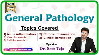 Acute inflammation  Vascular and cellular events  Chronic inflammation Part 1 General Pathology [upl. by Joseito552]