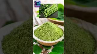 Powerful Vegetable Moringa  Benefits Of Moringa health shorts moringa shortfeed [upl. by Ahsoem357]