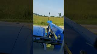 Mowing Hay New Holland workmaster 75 random thoughts [upl. by Herman]