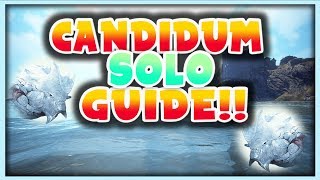 Black Desert Online  Candidum Solo Guide Updated KeyBoard Users After Nerf [upl. by Atiekan]