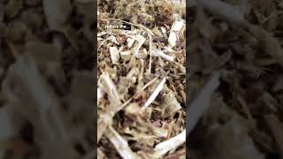 Motherwort Tea Benefits amp Uses [upl. by Hsakaa]