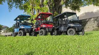 Discover the best golf carts in Hartville and Medina Ohio [upl. by Deibel]