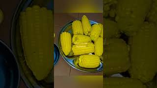 spicy cholam corn Recipe in malayalam [upl. by Raimes]