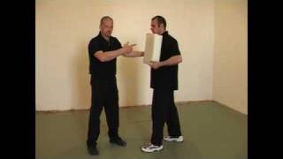 Pressure Point Defensive Tactics Self Defense Online [upl. by Yedorb453]