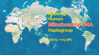 Where did the mtDNA haplogroups live [upl. by Donata308]