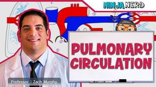 Circulatory System  Pulmonary Circulation [upl. by Lorrimer258]