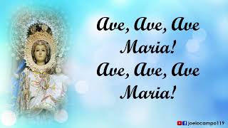 Immaculate Mother with Lyrics  Traditional Marian Hymn [upl. by Capwell]